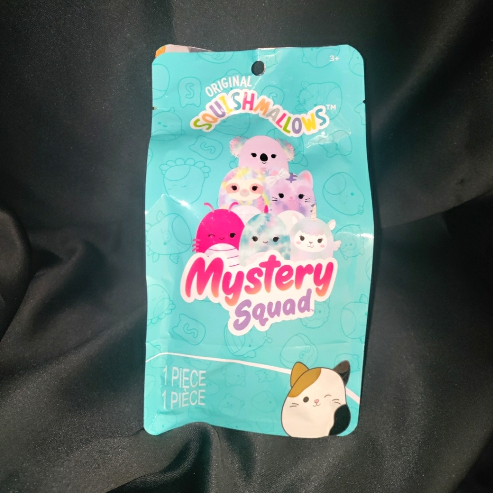 1-Pack 5" Mystery Squad Squishmallows Blind Bag